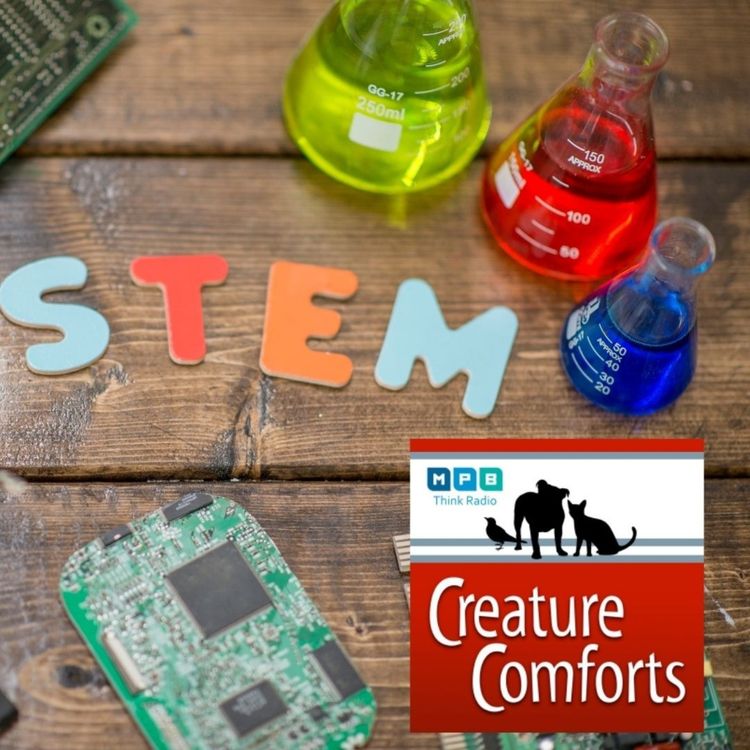 cover art for Creature Comforts | Science Fest 2020