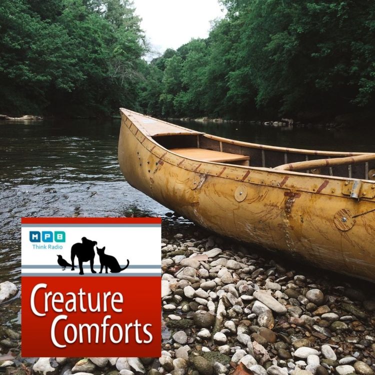 cover art for Creature Comforts | Canoeing The Mississippi