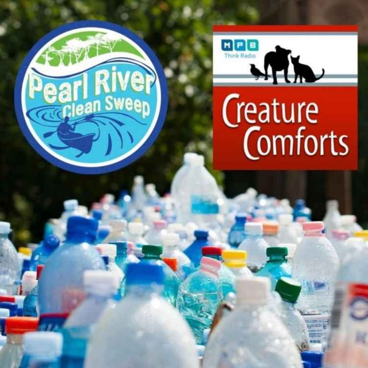 cover art for Creature Comforts | Pearl River Clean Sweep 2021