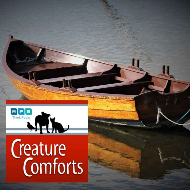 cover art for Creature Comforts | Ramps and Piers Program