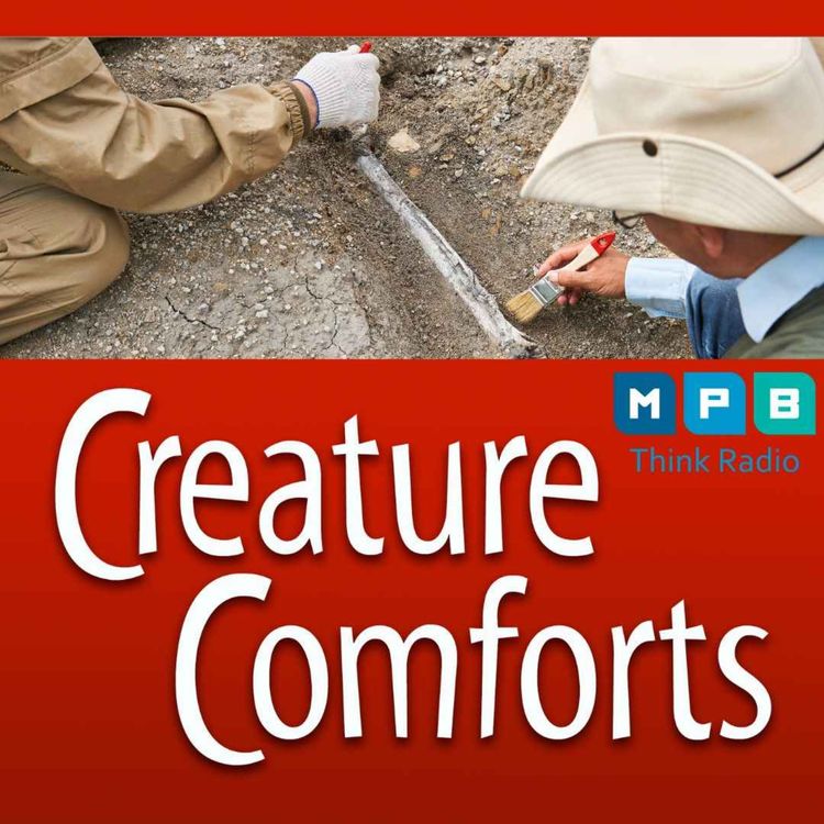 cover art for Creature Comforts | Paleontology & Fossils