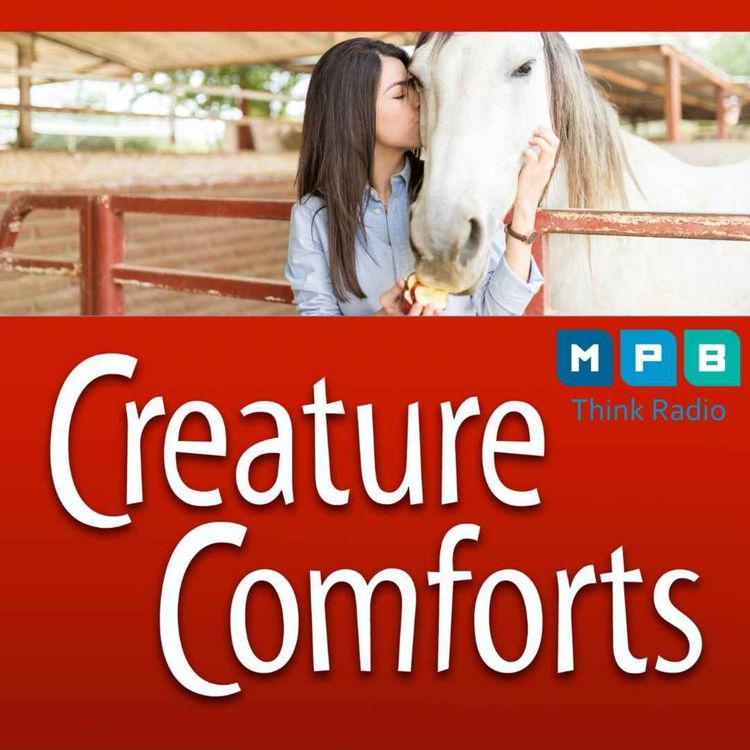 cover art for Creature Comforts | Nature's Medicine