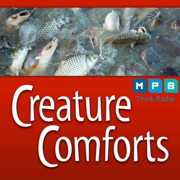 cover art for Creature Comforts | Freshwater Fishing
