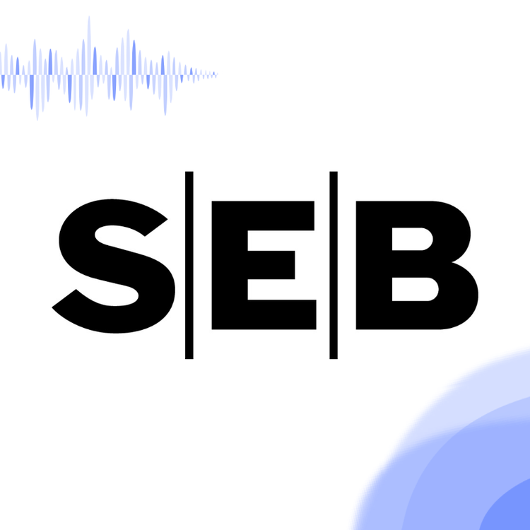 cover art for SEB • Investment Banking is more than meets the eye