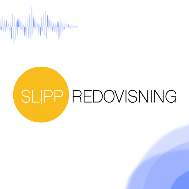 cover art for Slipp Redovisning •  Franchisekonceptet