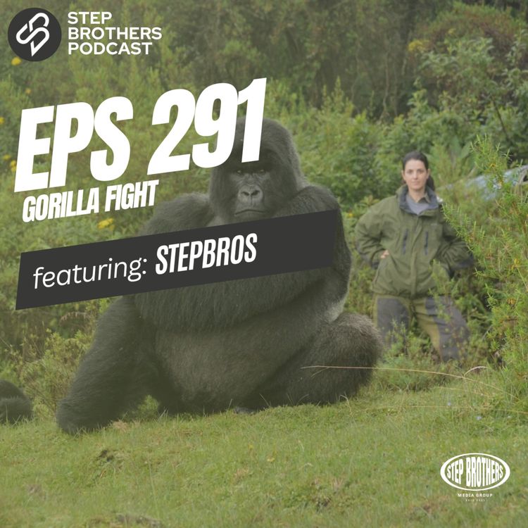 cover art for Episode 291:Gorilla Fight