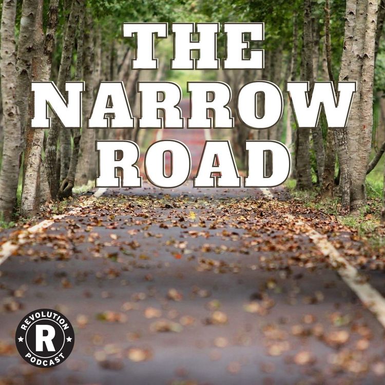 cover art for The Narrow Road