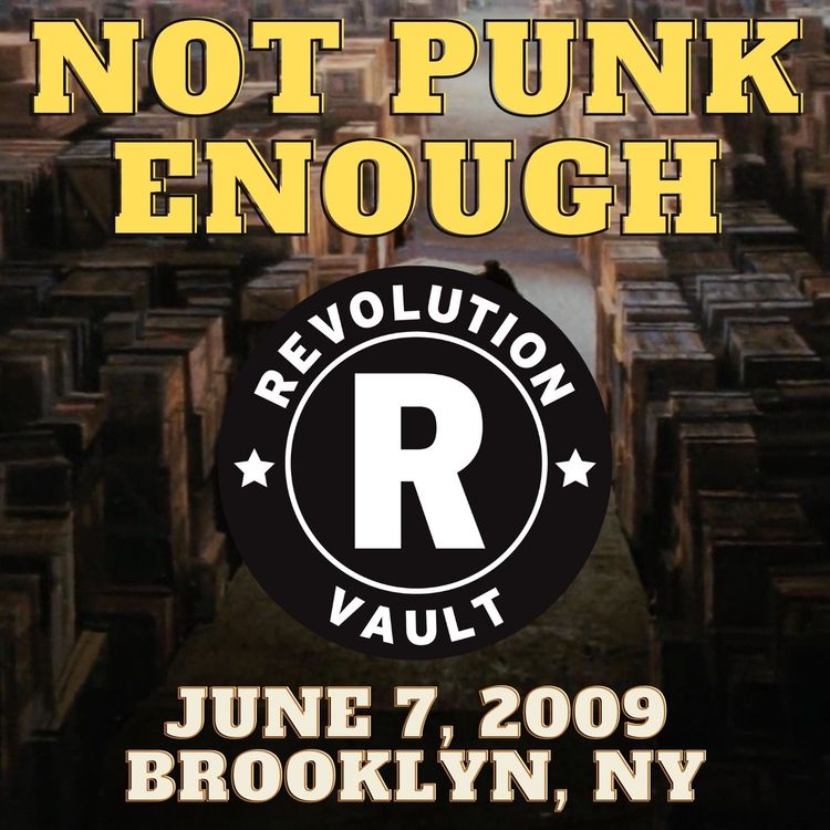 cover art for Not Punk Enough