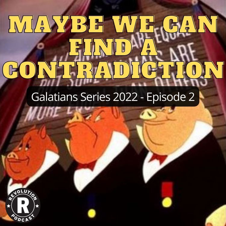 cover art for Maybe We Can Find a Contradiction