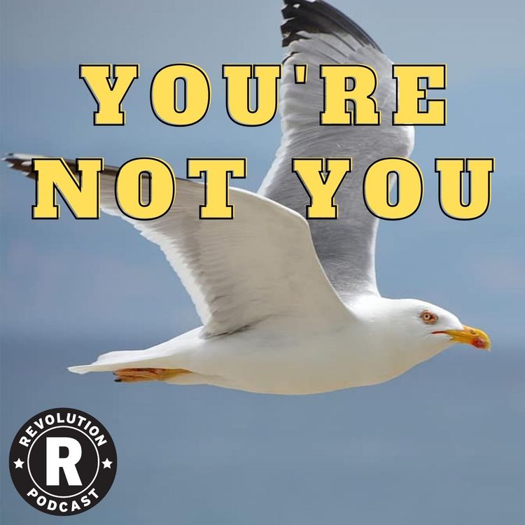 cover art for You're Not You
