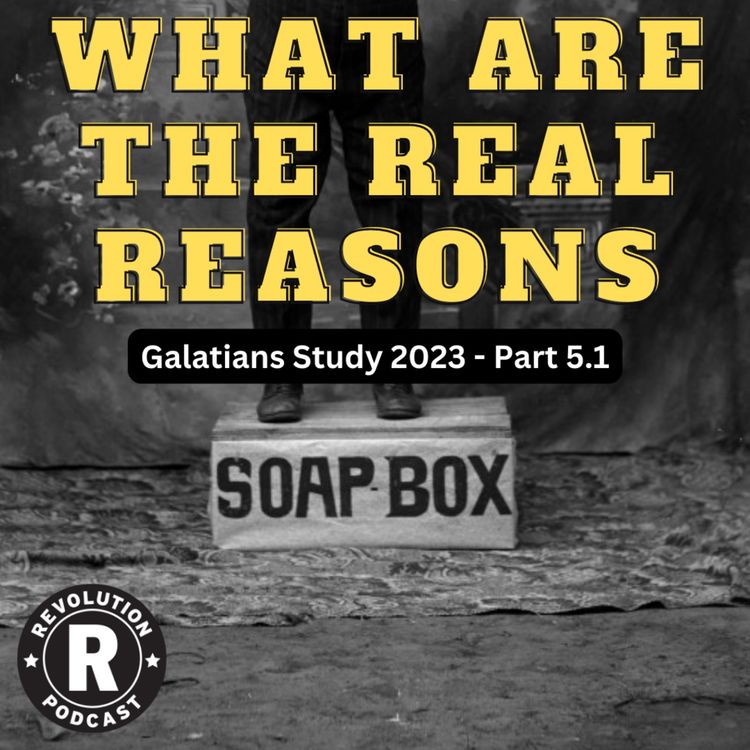 cover art for What Are The Real Reasons