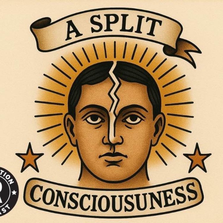 cover art for A Split Consciousness