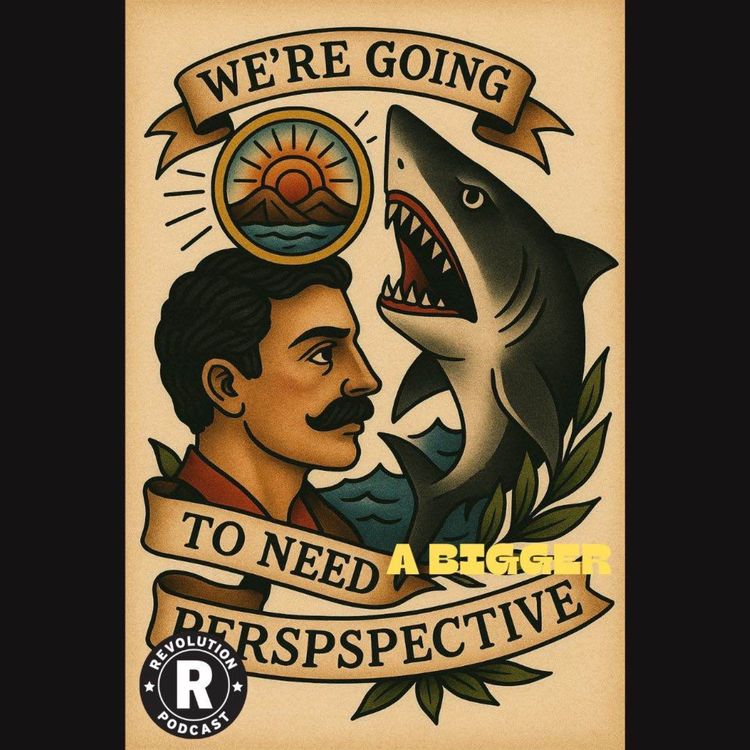 cover art for We're Going to Need a Bigger Perspective