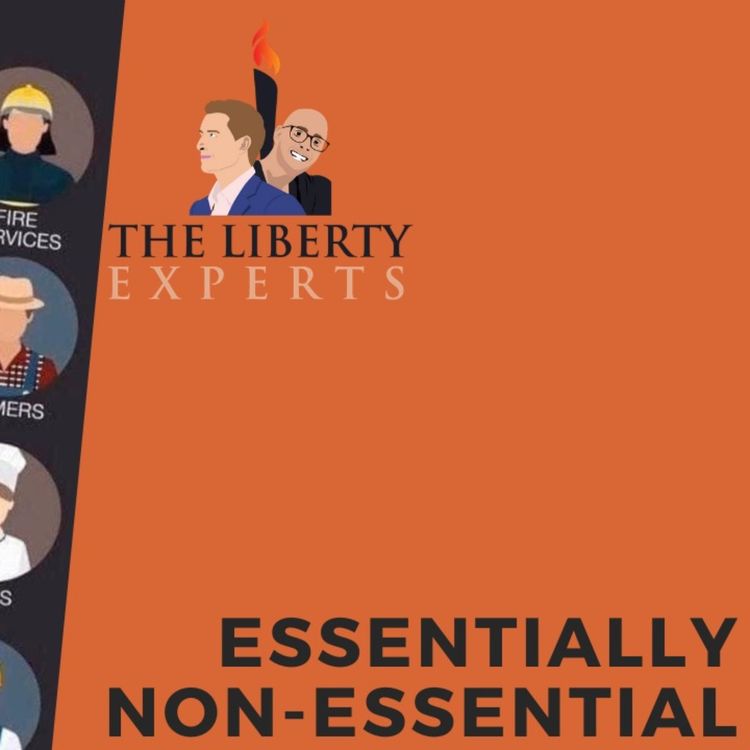 cover art for The New Classes: Essential and Non-Essential