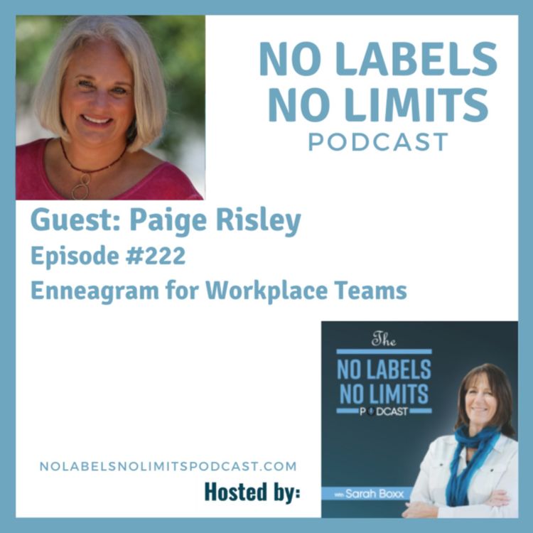 cover art for 222 - Enneagram for Workplace Teams with Paige Risley