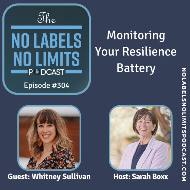 cover art for 304 - Monitoring Your Resilience Battery with Whitney Sullivan