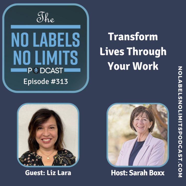 cover art for 313 - Transform Lives Through Your Work with Liz Lara