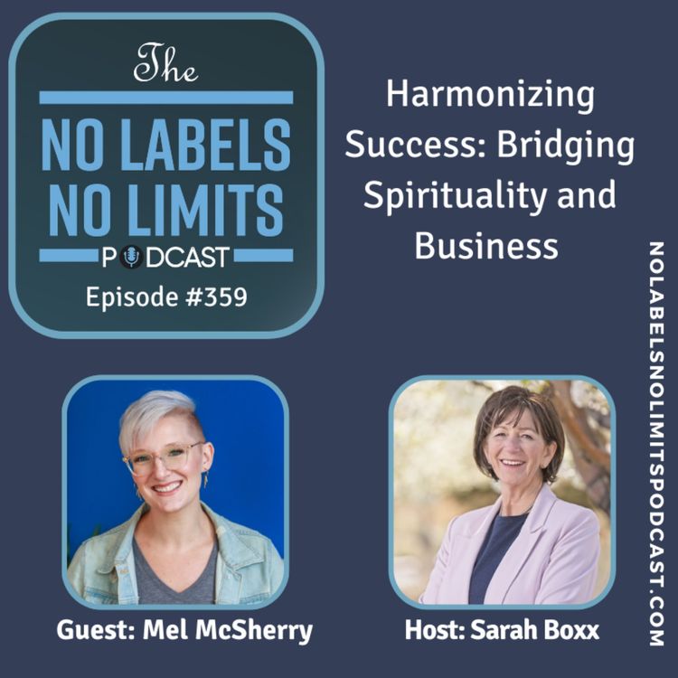 cover art for 359 - Harmonizing Success: Bridging Spirituality and Business with Mel McSherry