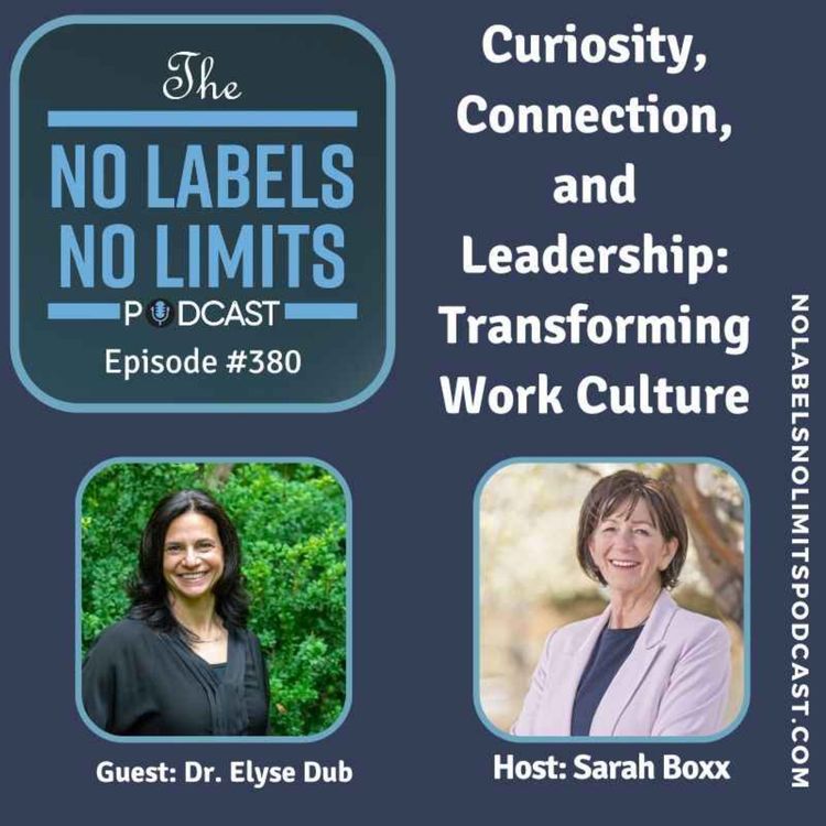 cover art for 380 - Curiosity, Connection, and Leadership: Transforming Work Culture with Dr. Elyse Dub