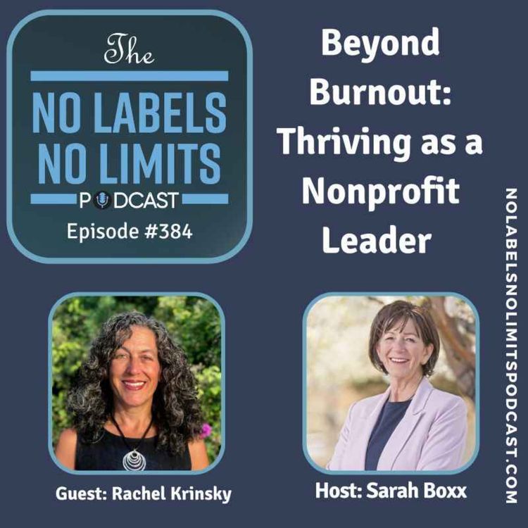 cover art for 384 - Beyond Burnout: Thriving as a Nonprofit Leader with Rachel Krinsky