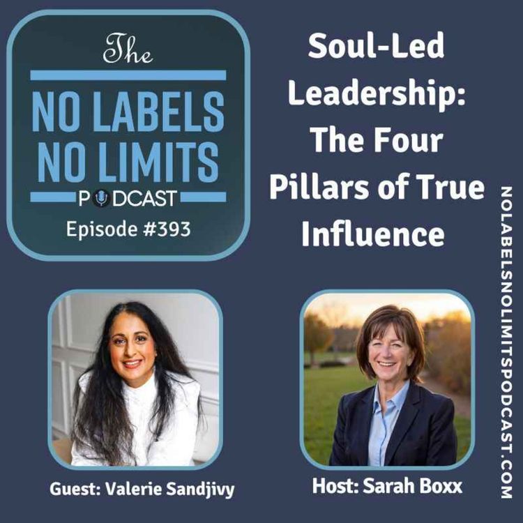 cover art for 393 - Soul-Led Leadership: The Four Pillars of True Influence with Valerie Sandjivy