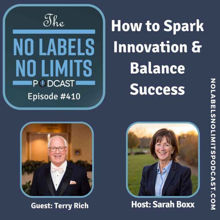 cover art for 410 - How to Spark Innovation & Balance Success with Terry Rich