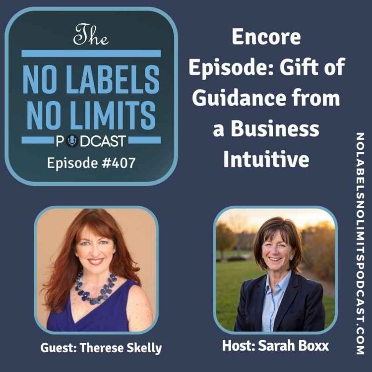 cover art for 407 - ENCORE Episode Gift of Guidance from a Business Intuitive with Therese Skelly