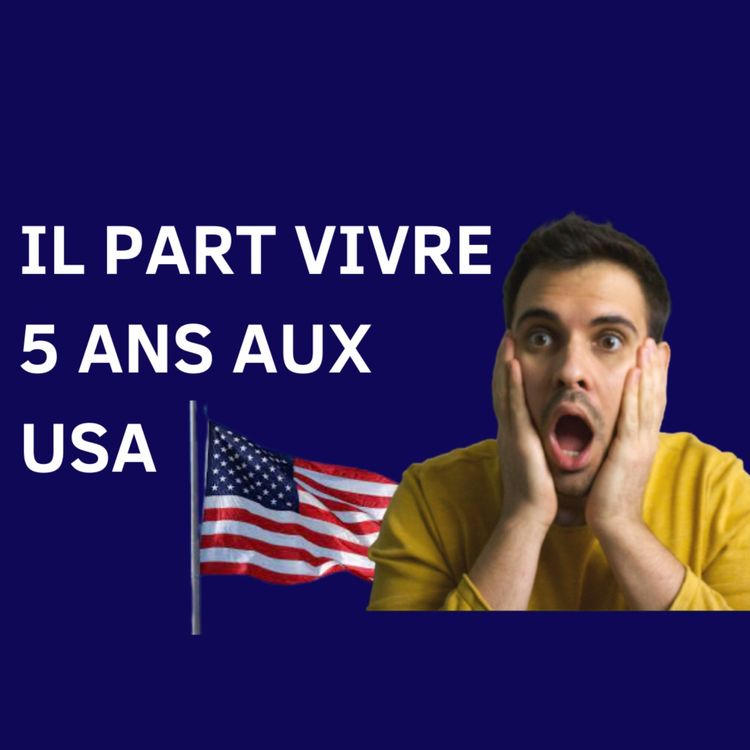 cover art for Il part vivre aux USA pendant 5 ans (développeur)