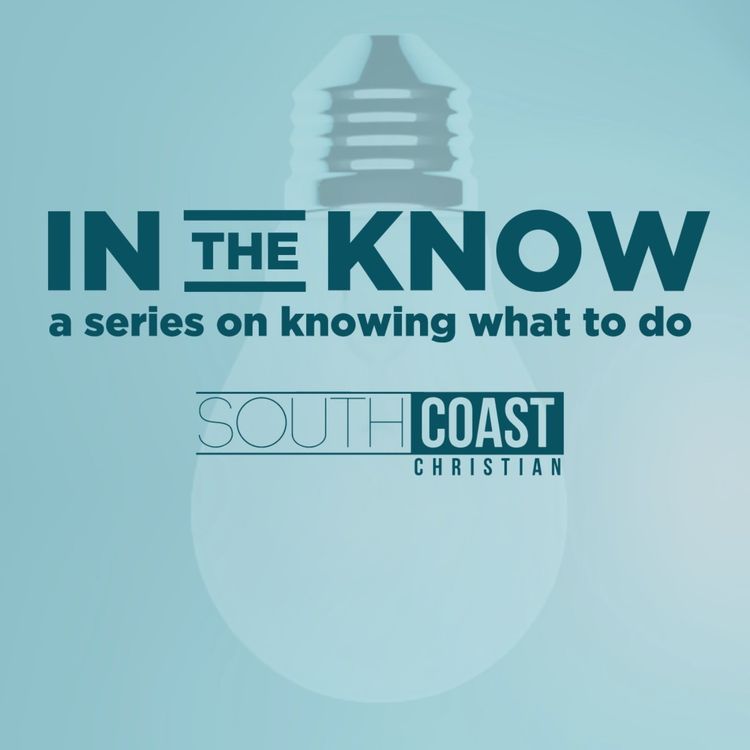 cover art for In the Know | Week 5