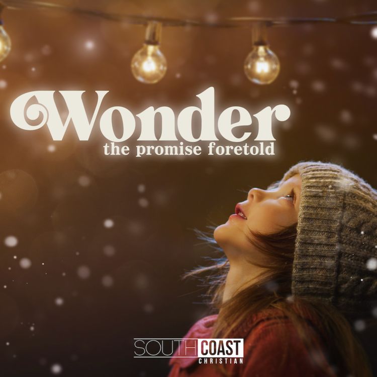 cover art for Wonder | Week 5