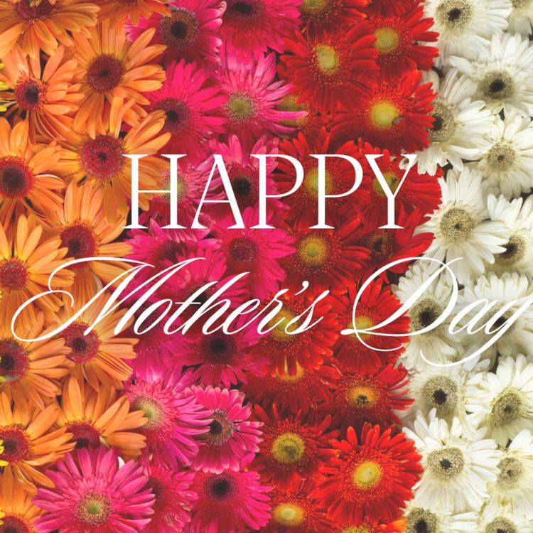 cover art for Mother's Day | Guest Speaker Pastor John Martin