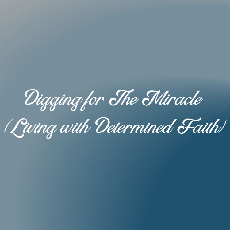 cover art for Digging for the Miracle | Guest Speaker - Pastor Joel Richards