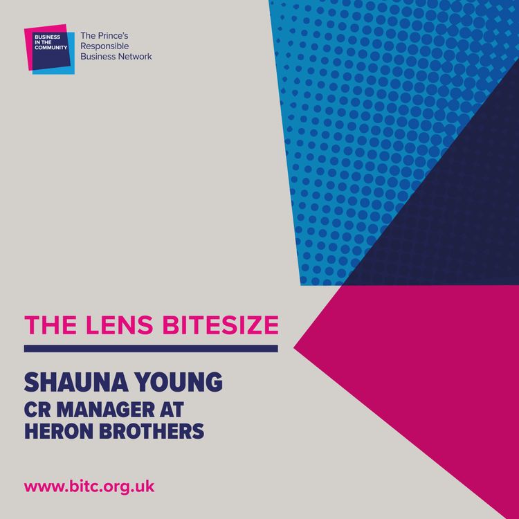 cover art for Bitesize with HERON BROTHERS: Shauna Young, CR Manager