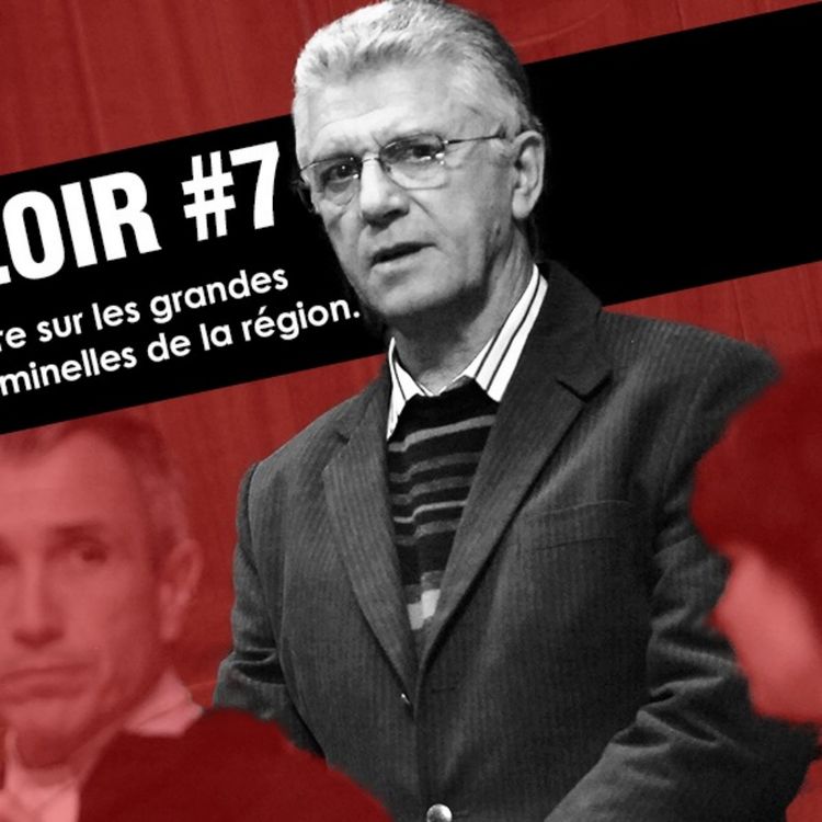 cover art for L'affaire Greiner, le pompier meurtrier confondu par son ADN 19 ans après son crime