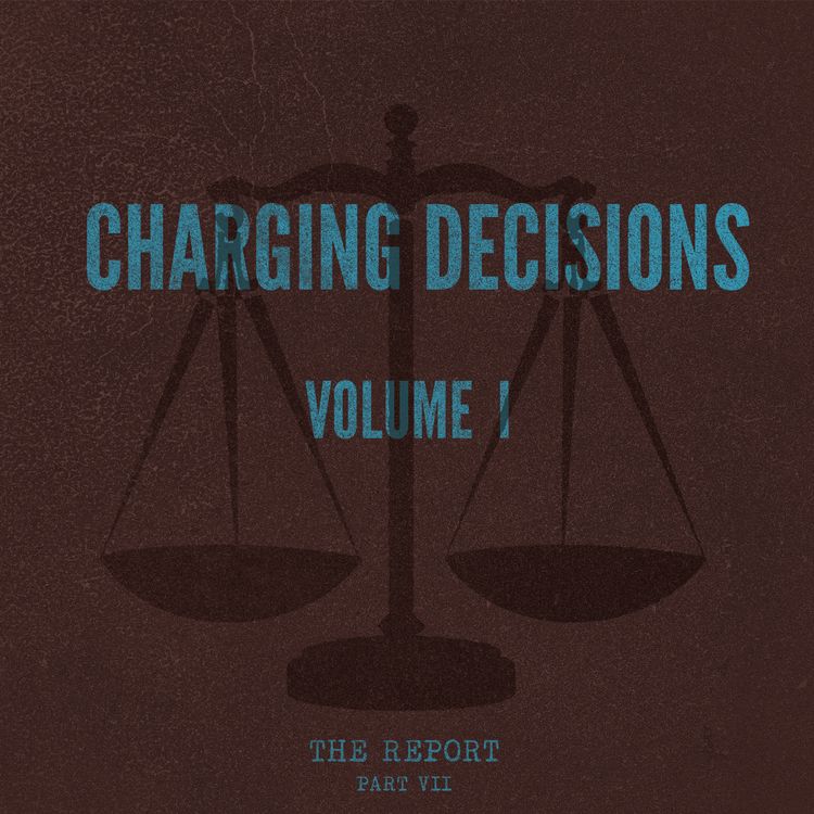 cover art for Part VII: Charging Decisions