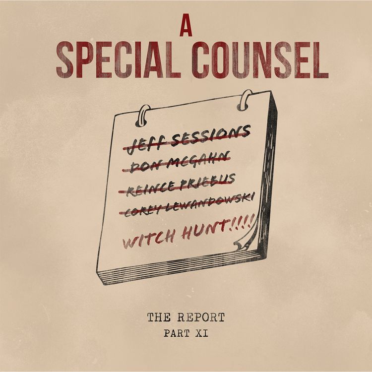 cover art for The Report Part XI: A Special Counsel