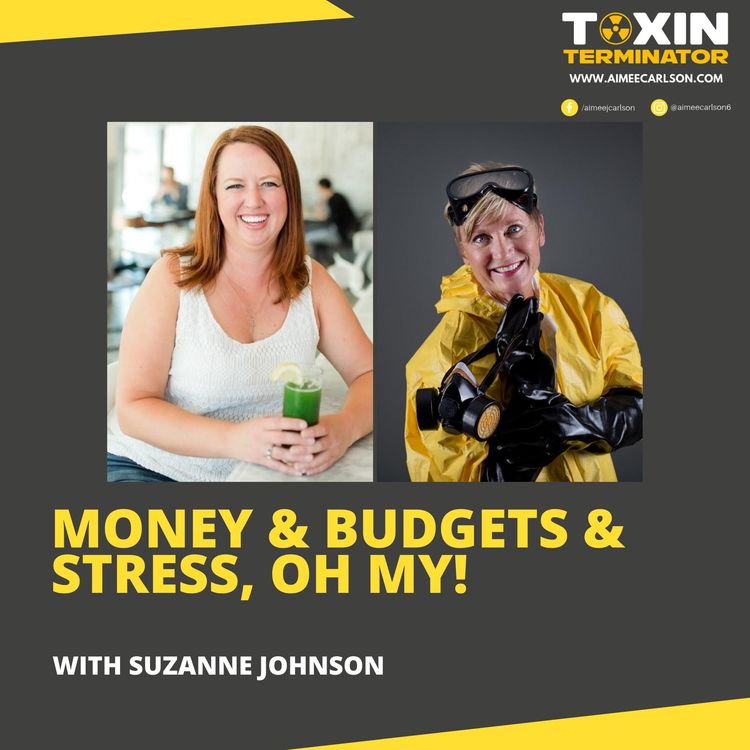 cover art for Money & Budgets & Stress, Oh My! - with Suzanne Johnson