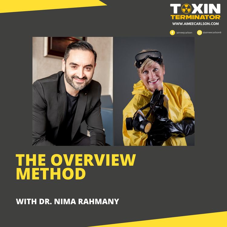 cover art for The Overview Method with Dr. Nima