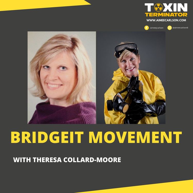 cover art for BridgeIT Movement with Theresa Collard-Moore