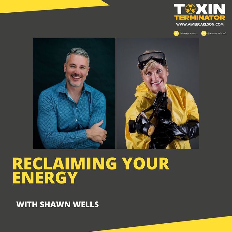 cover art for Reclaiming Your Energy with Shawn Wells