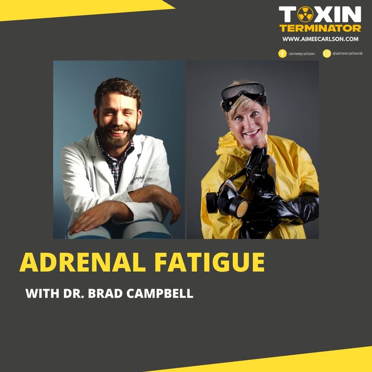 cover art for Adrenal Fatigue with Dr. Brad Campbell