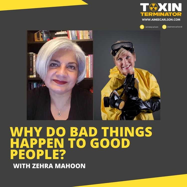 cover art for Why Do Bad Things Happen To Good People? with Zehra Mahoon
