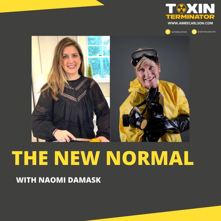 cover art for The New Normal with Aimee Carlson & Naomi Damask