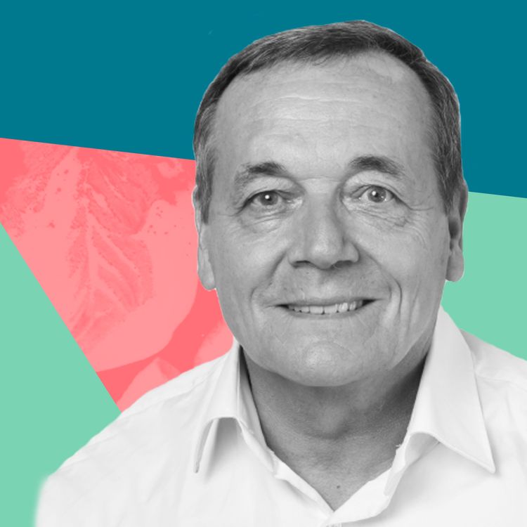 cover art for Comment gérer une grosse crise sans licencier aucun de ses 250 salariés ? - Hervé Knecht, fondateur de AlterEos