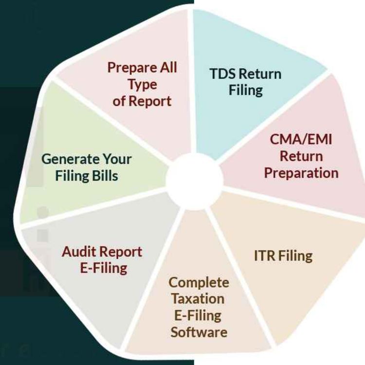 cover art for Genius Software: SAG Infotech's Tax Filing Solution Designed for Experts