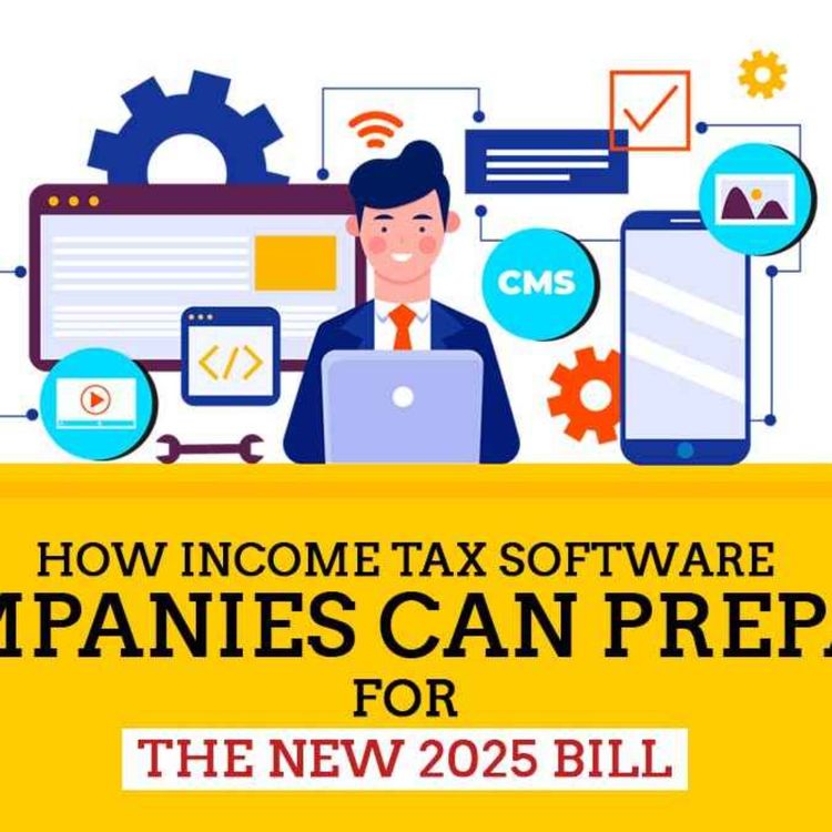 cover art for Strategic Preparation of IT Software Companies Under Bill 2025