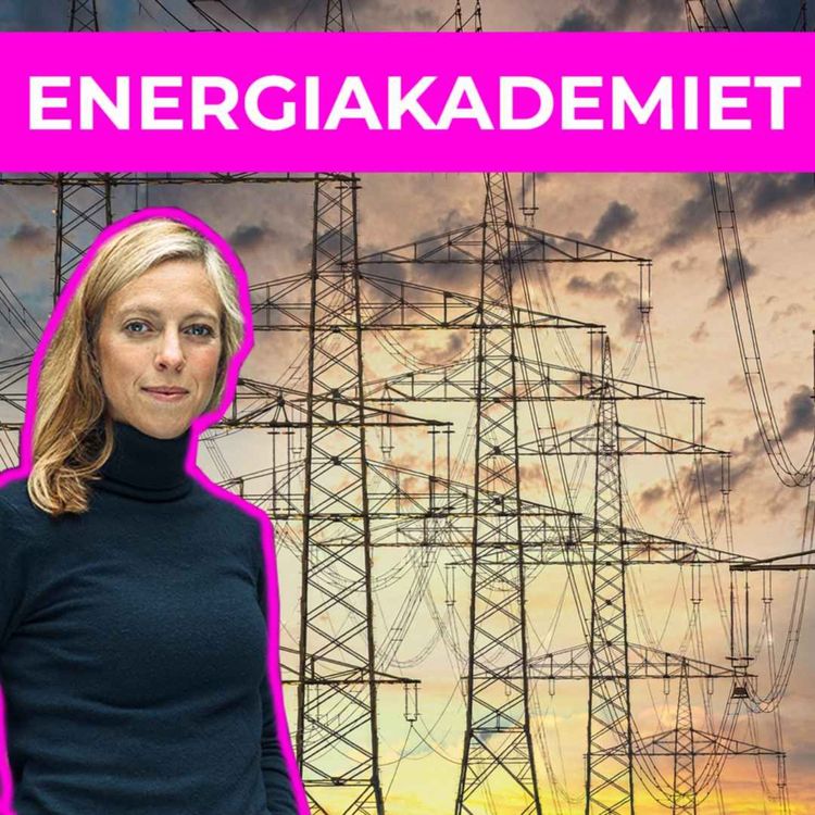 cover art for ENERGIAKADEMIET - Med Ingeborg Gjærum i Volue og Pia Kristensen i Europower