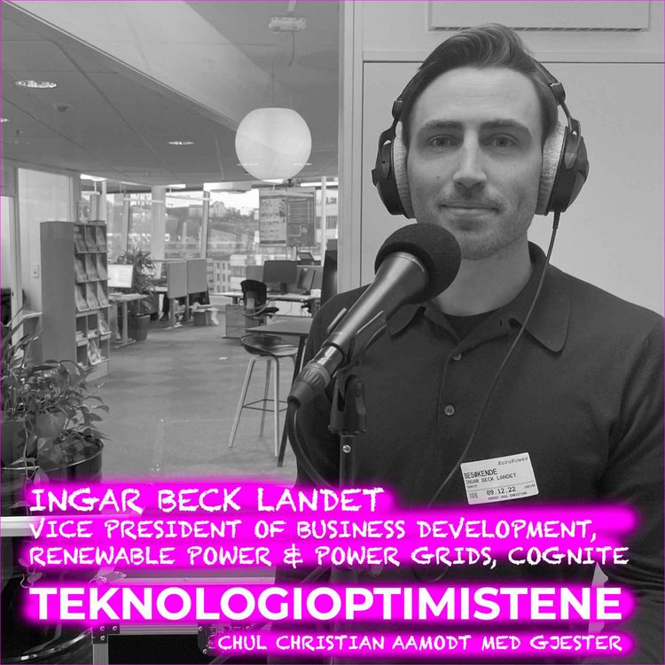 cover art for TEKNOLOGIOPTIMISTENE - Med Ingar Beck Landet, Vice President of Business Development, Renewable Power & Power grids i Cognite