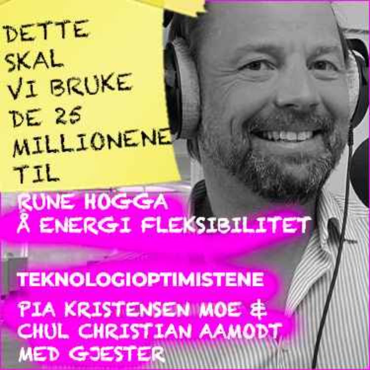 cover art for TEKNOLOGIOPTIMISTENE - Med Rune Hogga, Å Energi Fleksibilitet