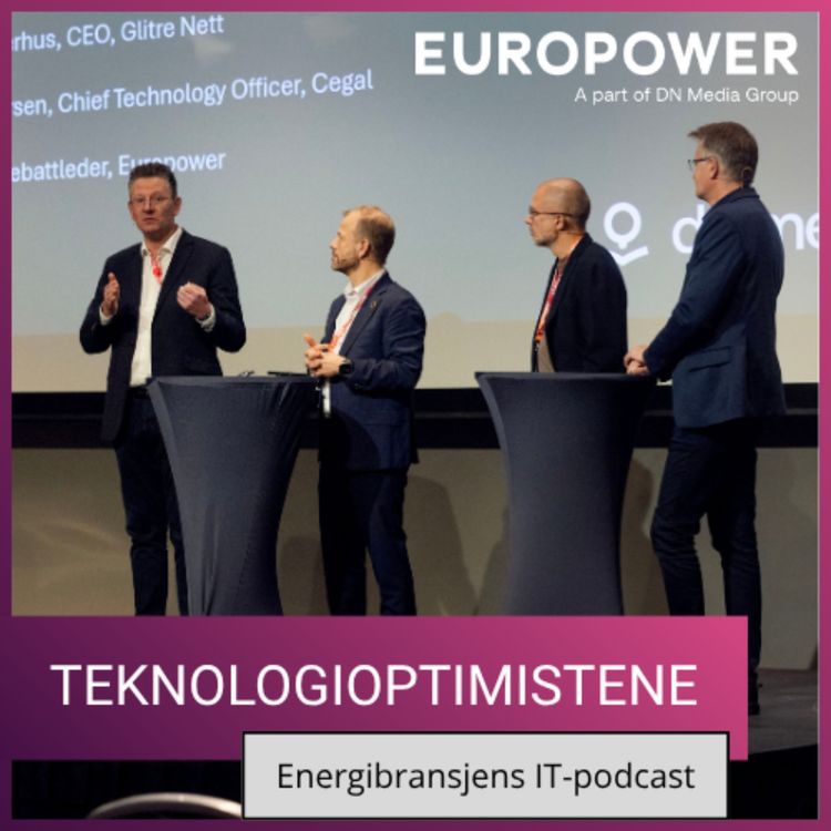 cover art for Forsvinner etternølerne? Kunstig intelligens kan bety langt færre nettselskaper.